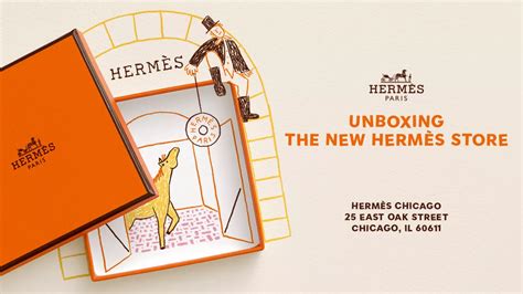 kit inicial hermes|hermes website.